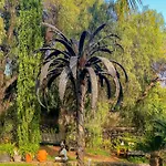 Gran Palmera * Los Llanos De Aridane