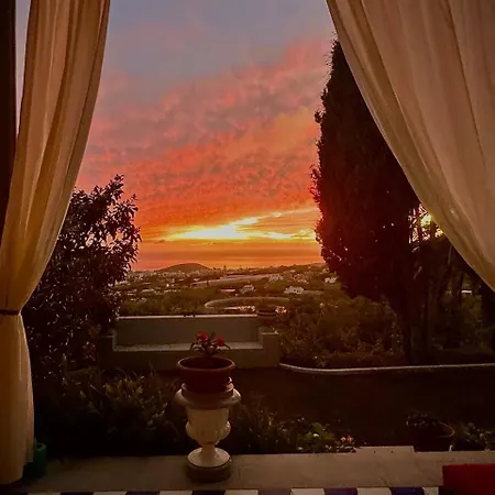 Gran Palmera Villa *