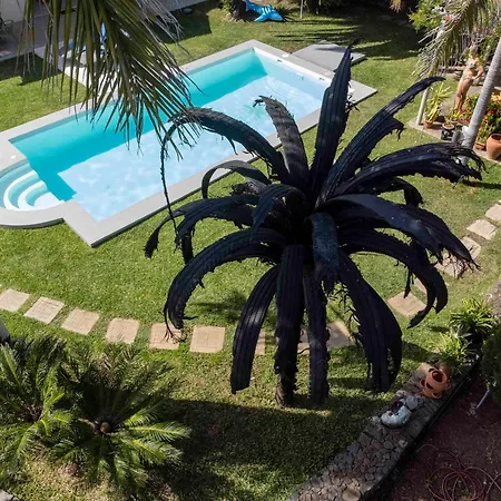 Villa Gran Palmera Los Llanos De Aridane