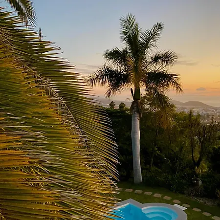 Gran Palmera Villa
