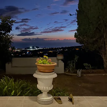 Gran Palmera Los Llanos De Aridane