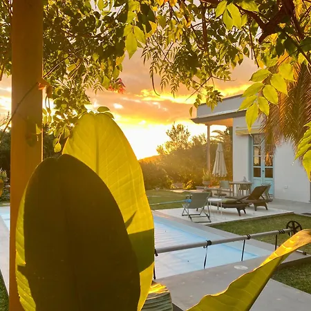 Gran Palmera Villa
