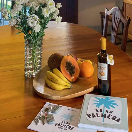 Villa Gran Palmera Los Llanos De Aridane