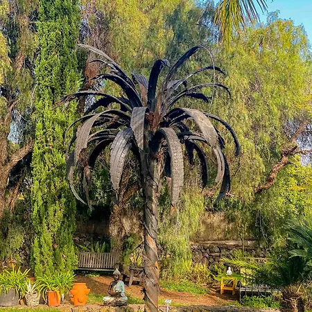 Gran Palmera * Los Llanos De Aridane