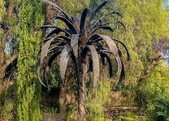 Gran Palmera * Los Llanos De Aridane